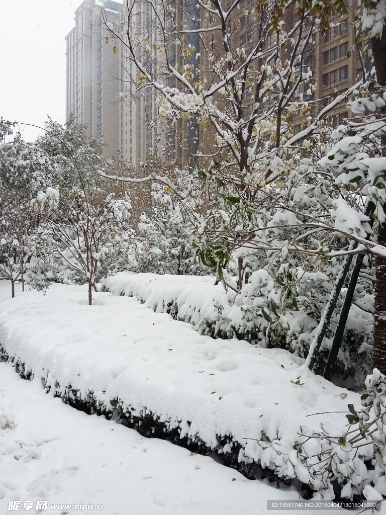 雪景