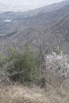 群山