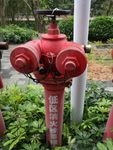 消火栓
