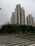 高楼大厦