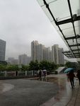 高楼大厦