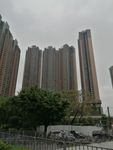 高楼大厦