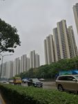 高楼大厦