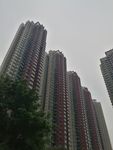 高楼大厦