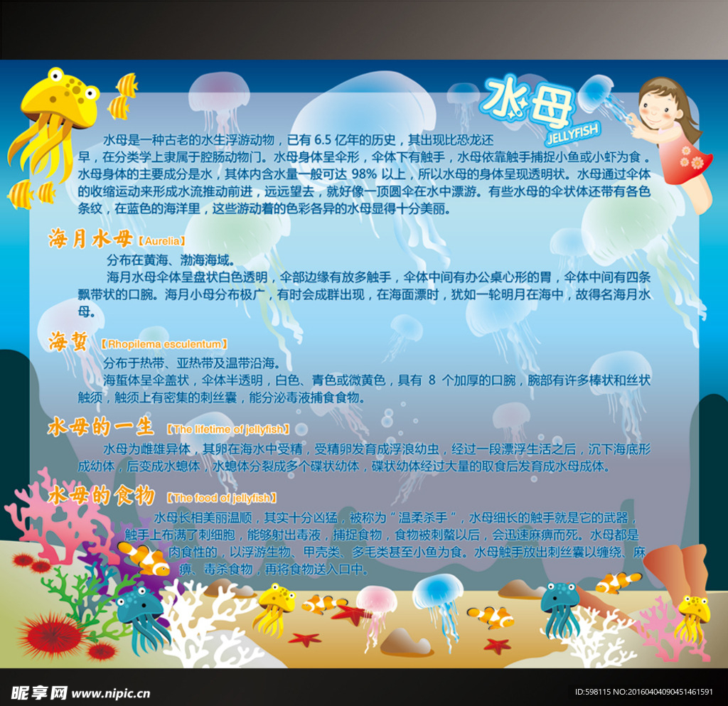 水母海报