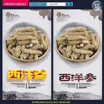 西洋参