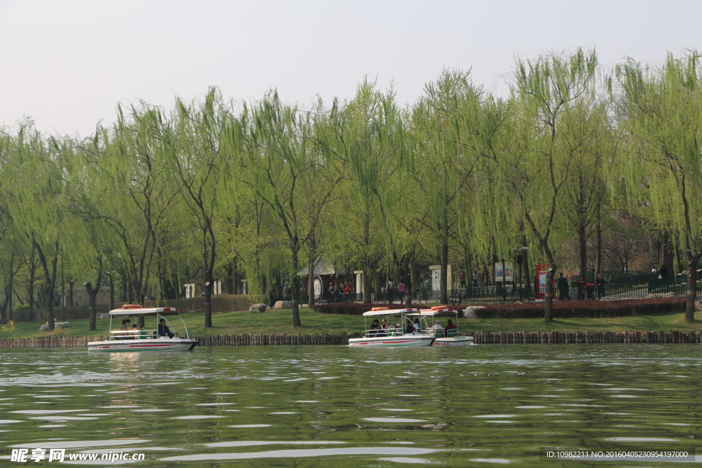 春湖绿景