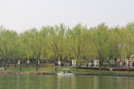 湖水岸边