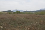 登封春景