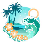 热带海洋花纹