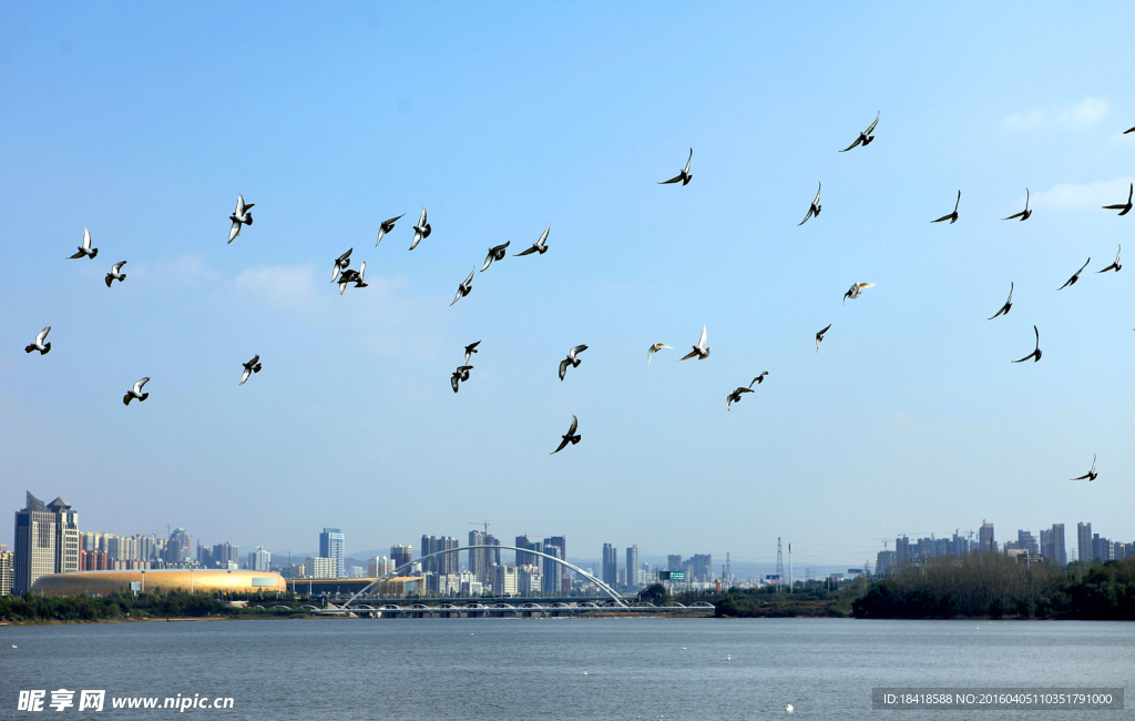 城市风光