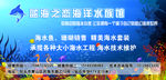 蓝海之恋    宣传
