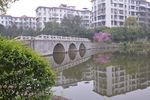 公园小景 桥 湖面