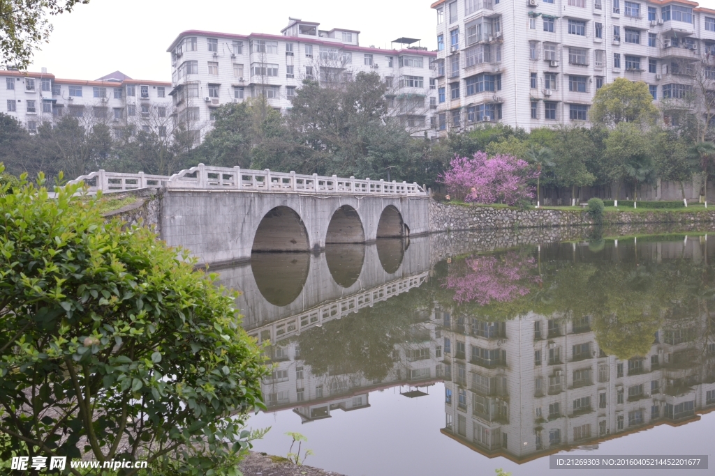 公园小景 桥 湖面