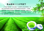 茶