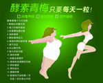 酵素海报