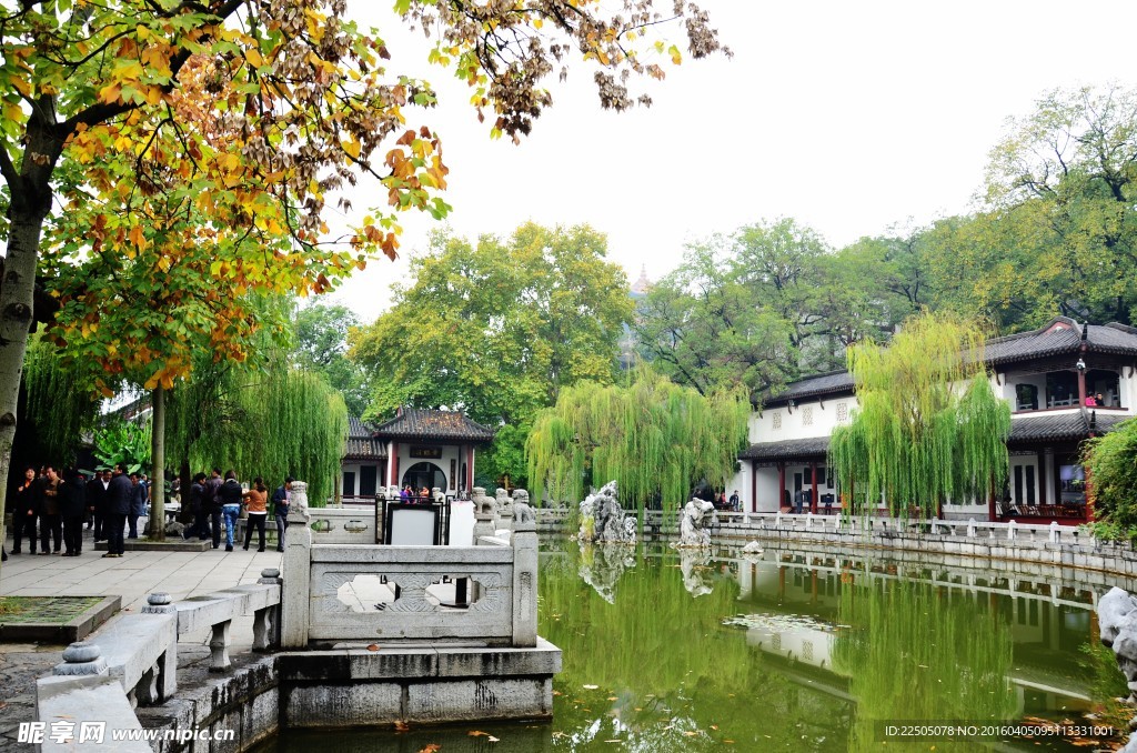 园景