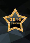 2016 矢量钻石 星形