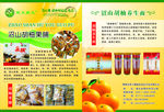 胡北沼山胡柚产品