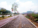 雨后自行车道
