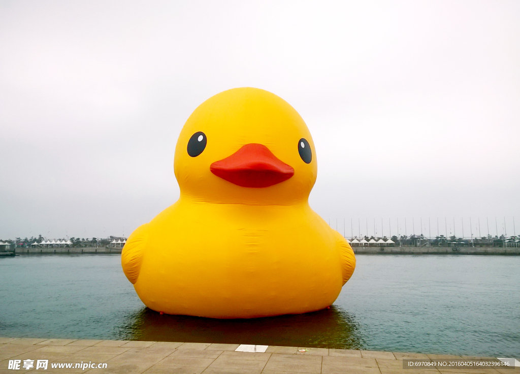 大黄鸭