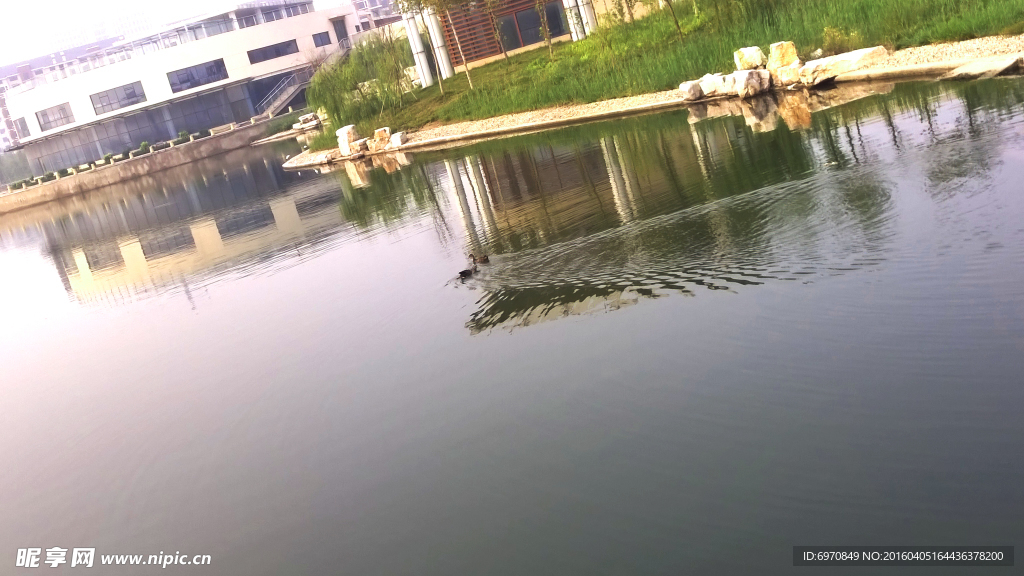 丽日湖