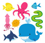 海洋生物