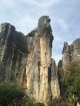 石林