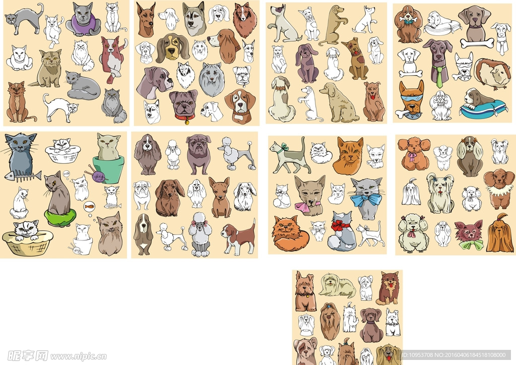 猫狗