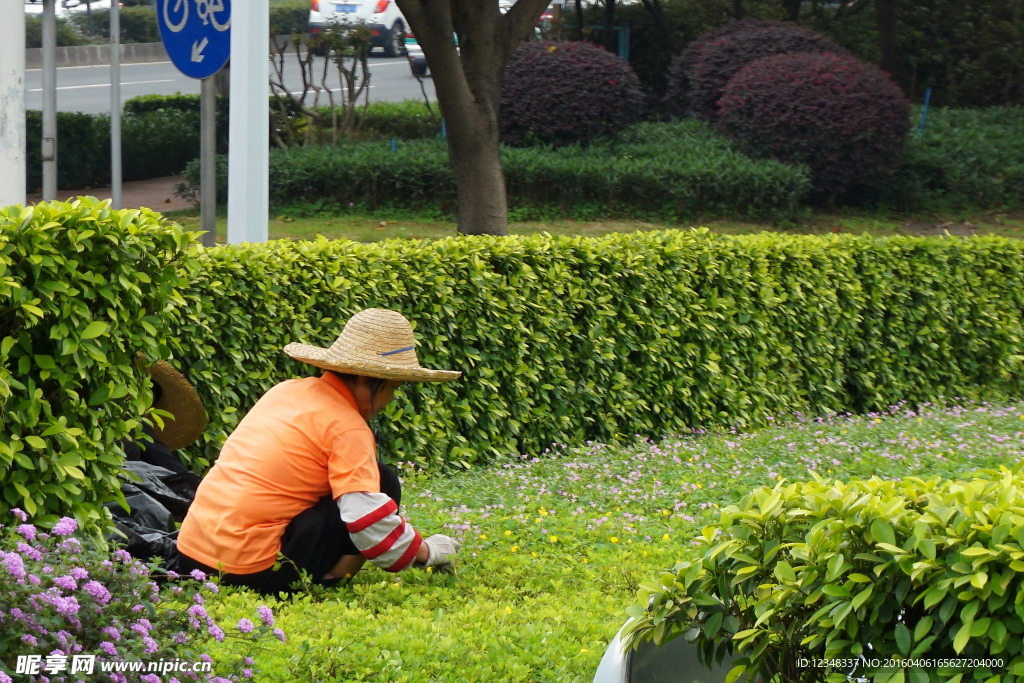 花农