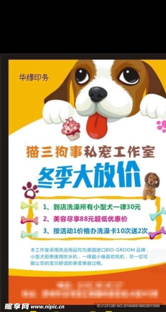 宠物