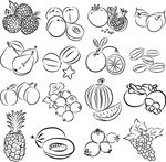 水果线描画