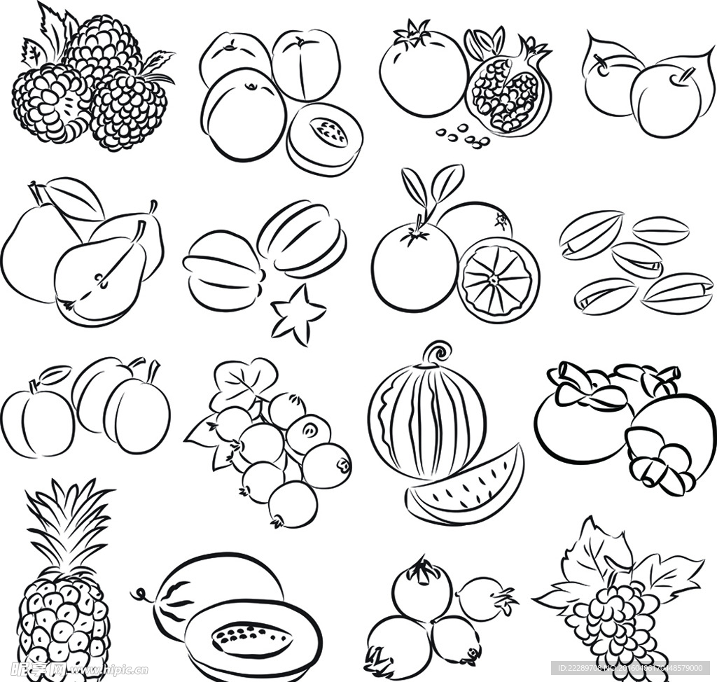 水果线描画
