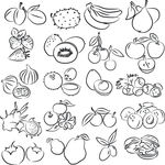 水果线描画