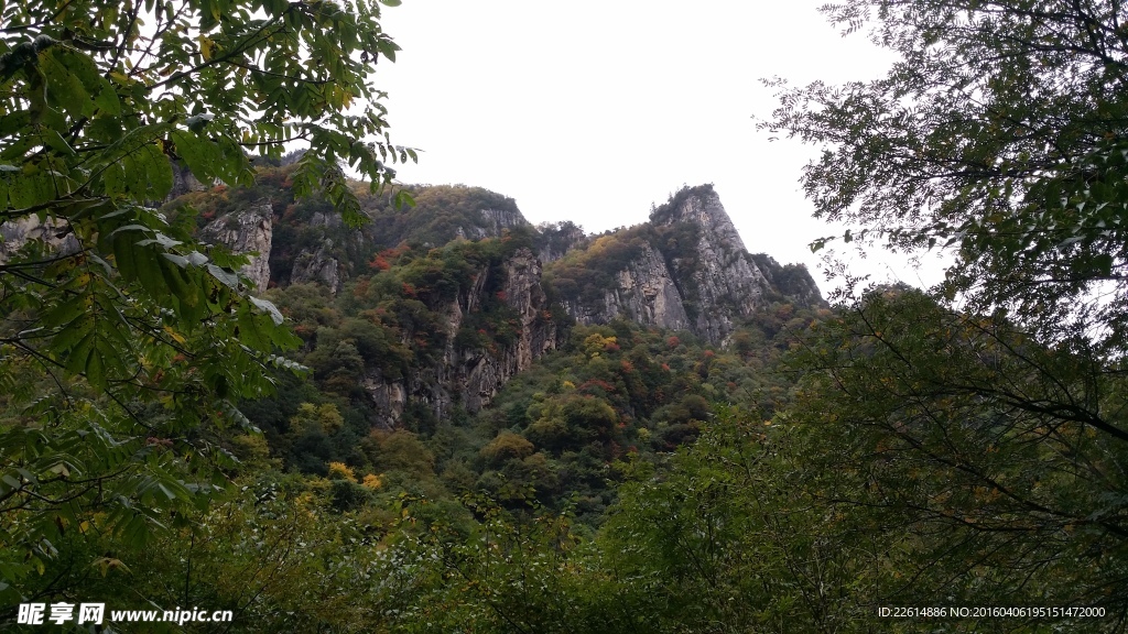 秦岭风光