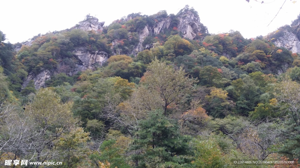 秦岭风光