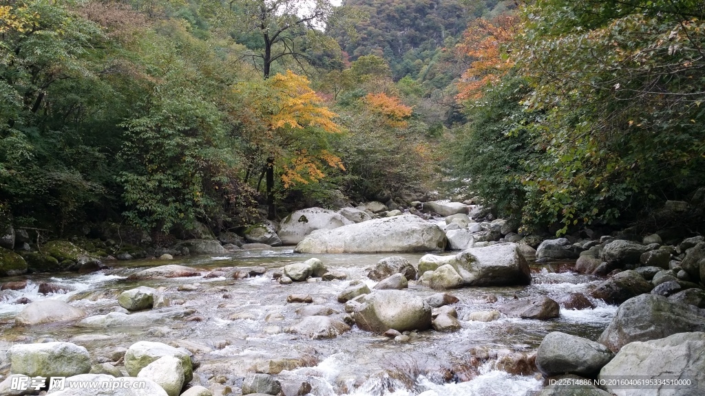 秦岭风光
