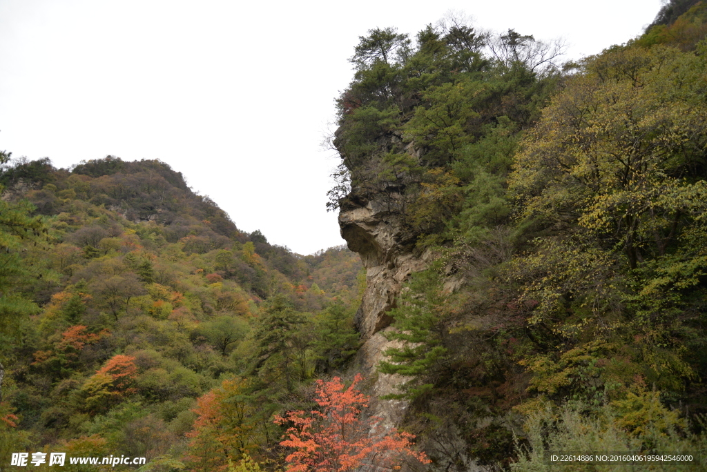 秦岭风光