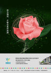 房地产广告设计