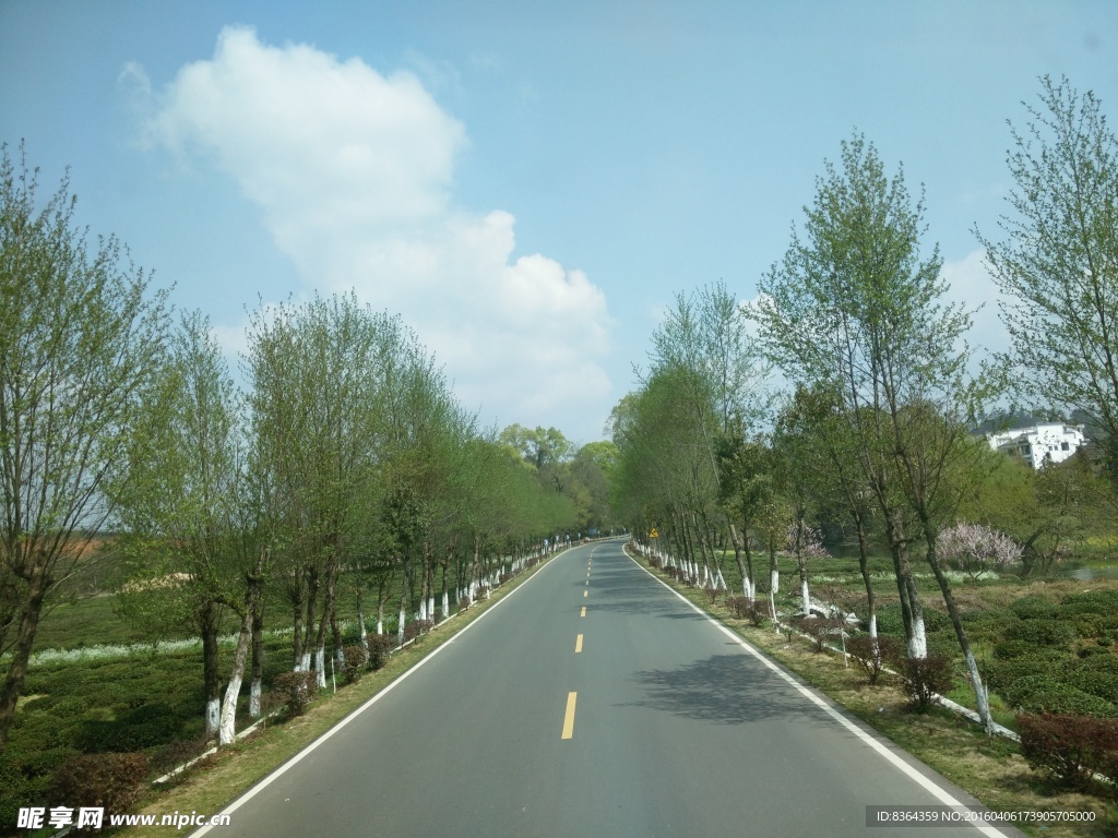 道路风景