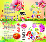 花卉