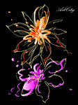 精美花纹底纹