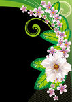 精美花纹底纹