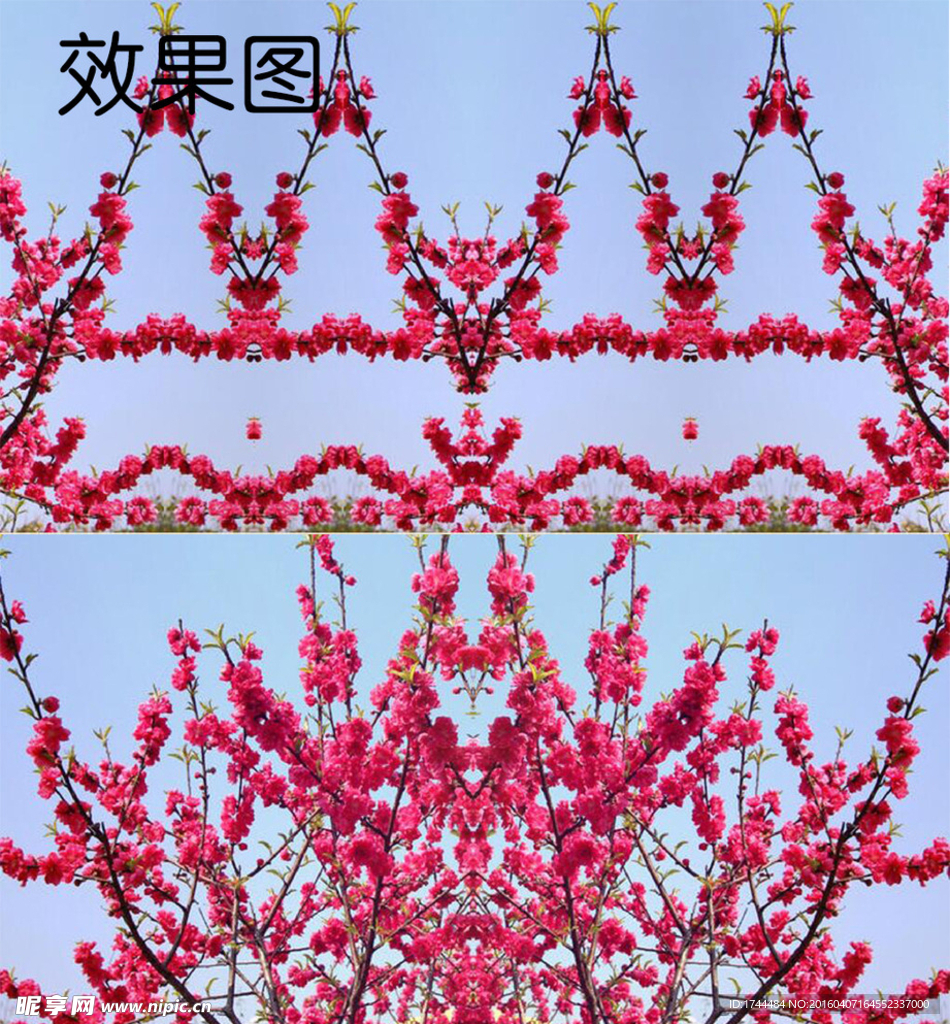 桃花视频背景