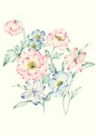 水彩花朵