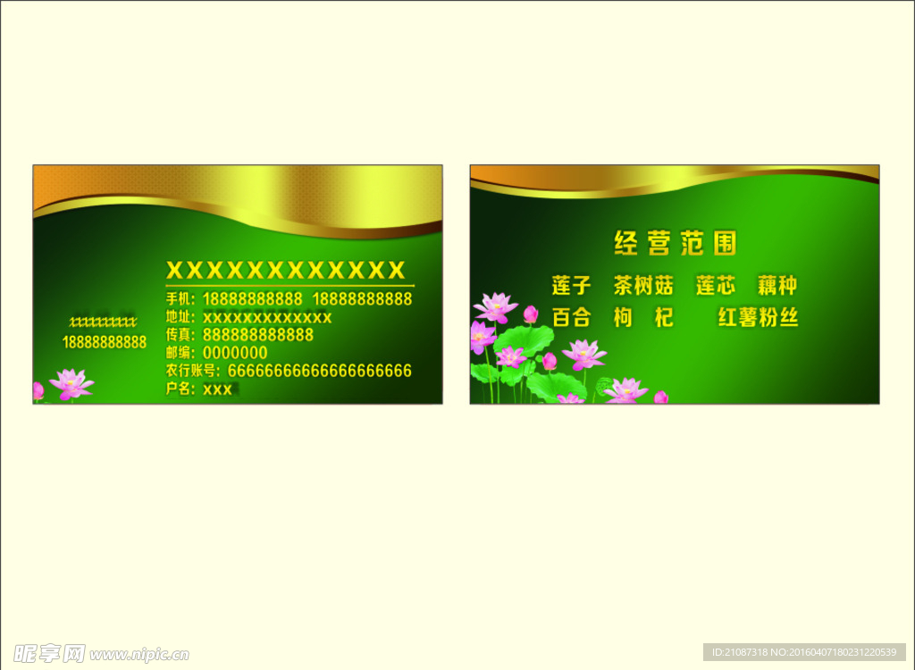 莲子名片