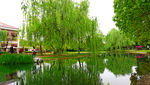 桔子洲水景