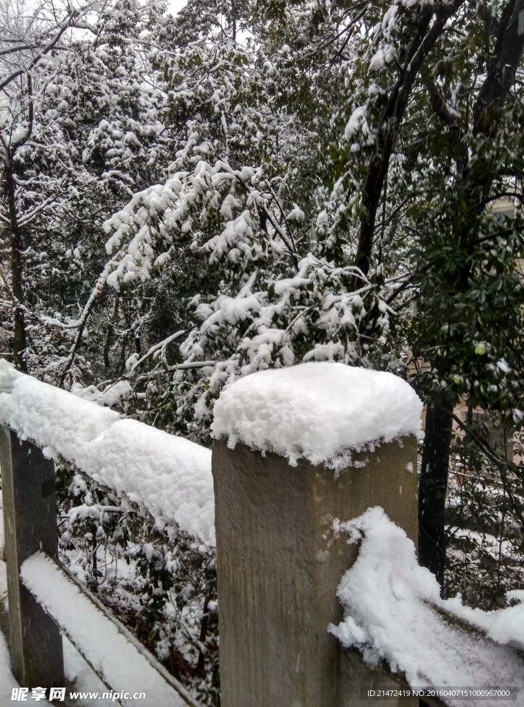 积雪