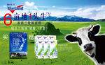 纽仕兰奶粉