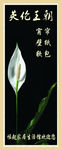 英伦王朝